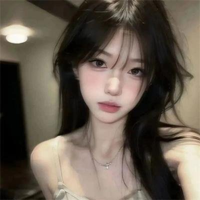 二战黑豹